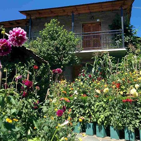 Guesthouse Gouris Tsepelovo Dış mekan fotoğraf