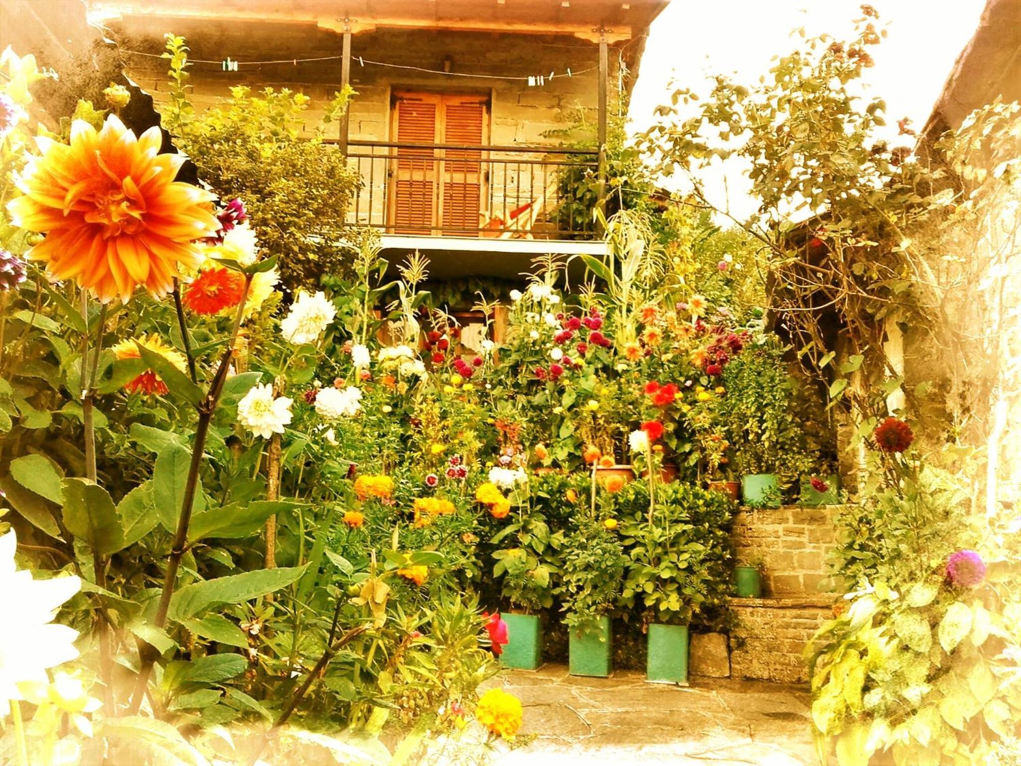 Guesthouse Gouris Tsepelovo Dış mekan fotoğraf