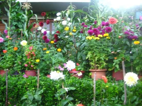 Guesthouse Gouris Tsepelovo Dış mekan fotoğraf